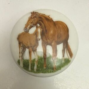 Mare and foal Trinket/Jewelry Box